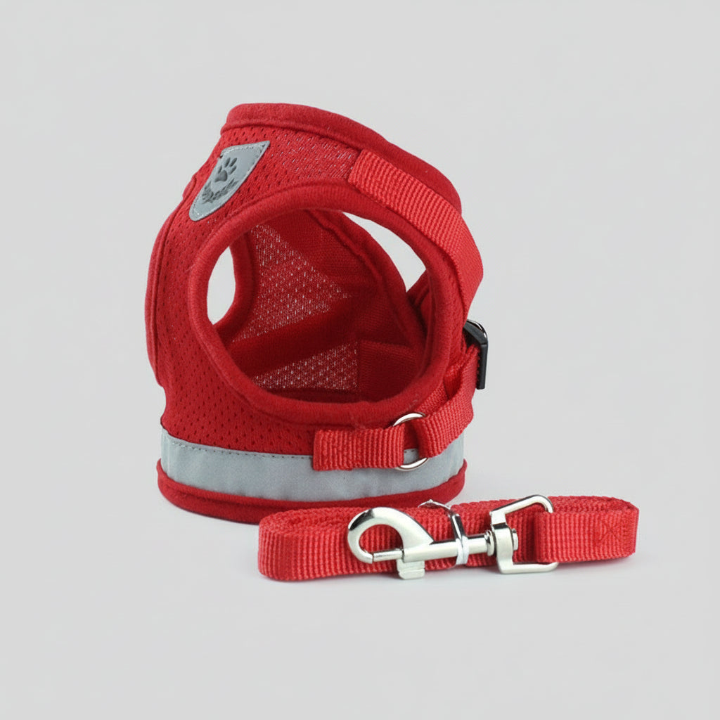 Laisse pour chien - Mesh