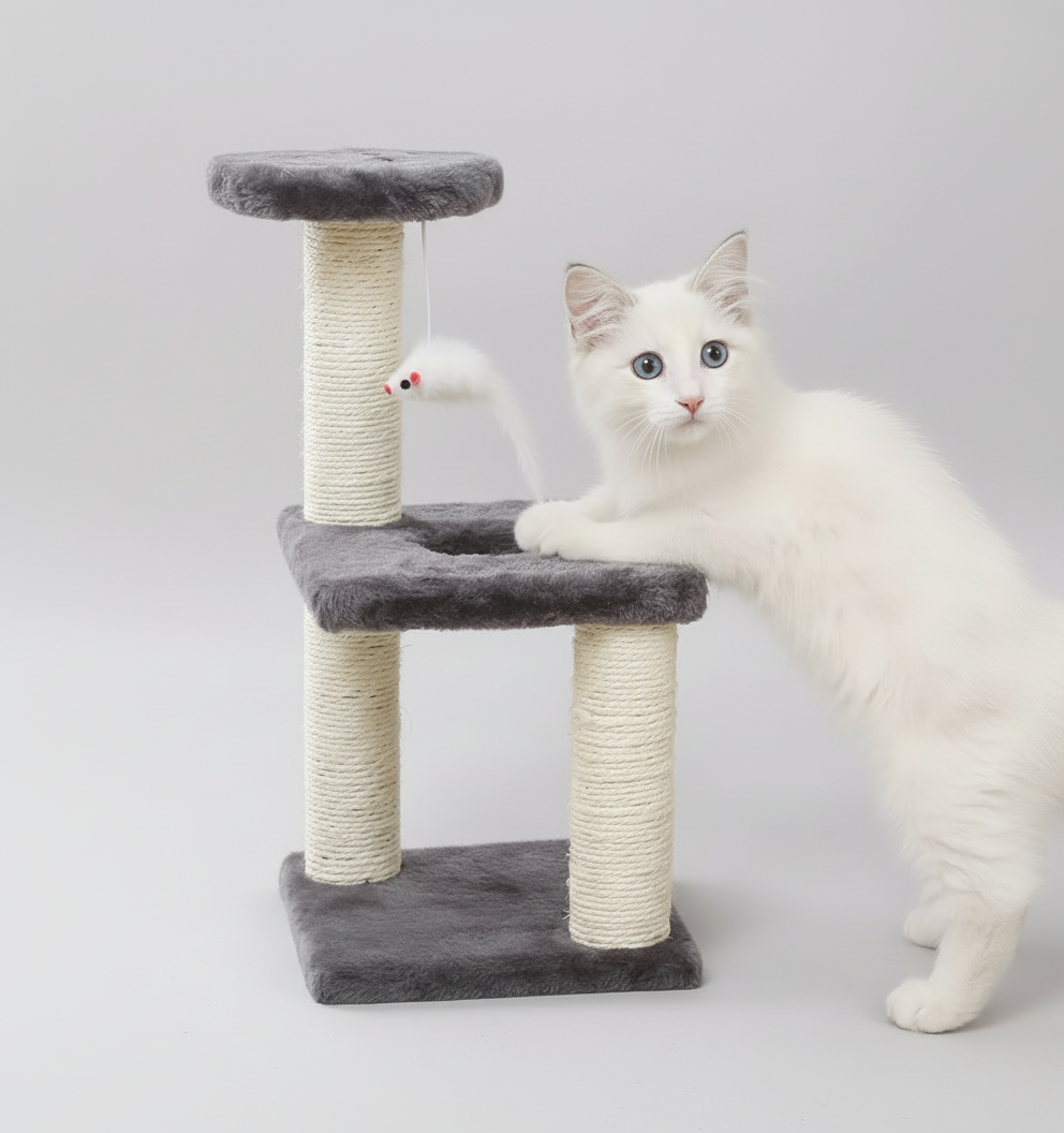 Chat en train de jouer sur l’arbre Altocat, structure interactive