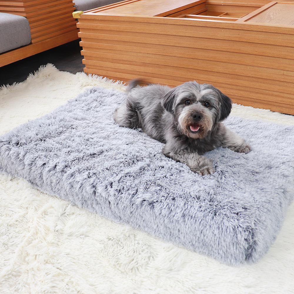 Petit chien installé dans un panier moelleux gris clair