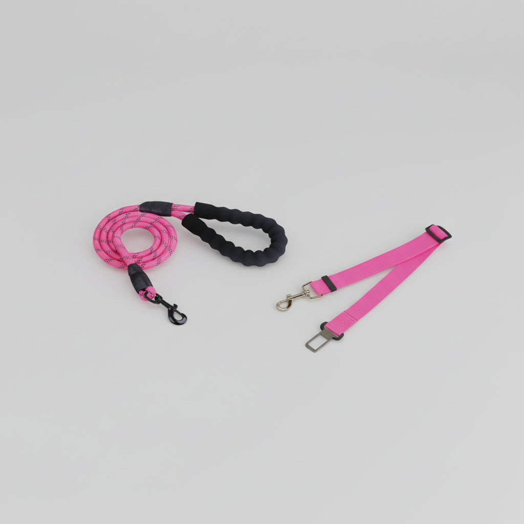 Laisse pour chien - Oreveil