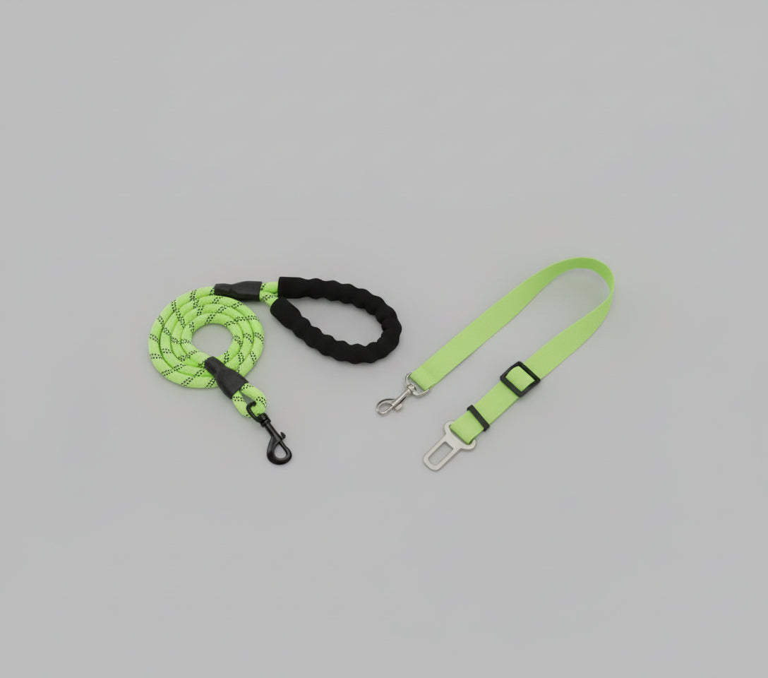 Laisse pour chien - Oreveil