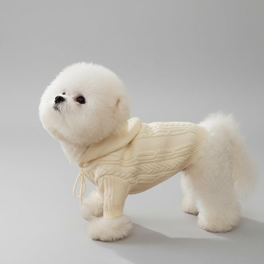 Pull pour chien - Elorin