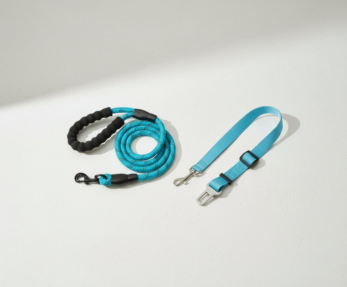 Laisse pour chien - Oreveil