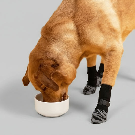 Chaussette pour chien style zèbre 