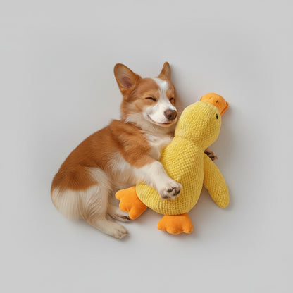 Jouet pour chien - Brenko
