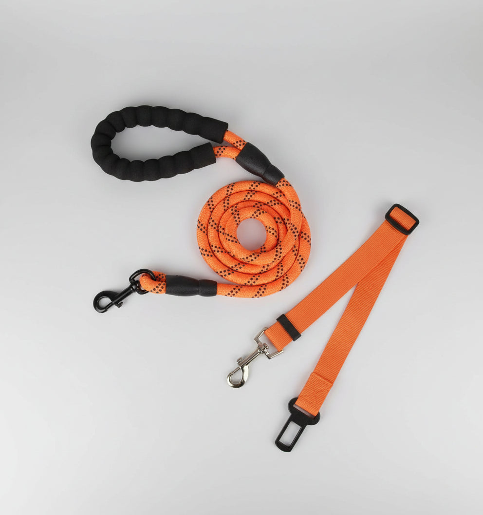 Laisse pour chien - Oreveil