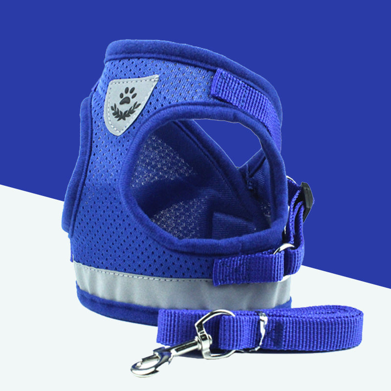 Laisse pour chien - Mesh