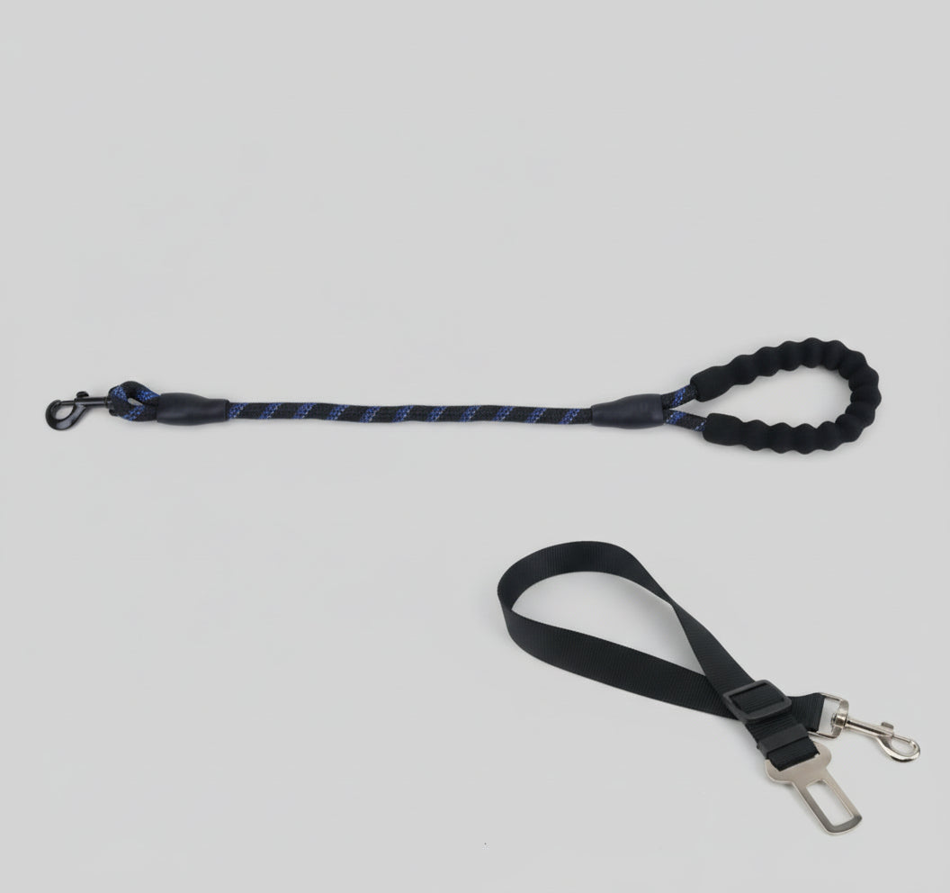 Laisse pour chien - Oreveil