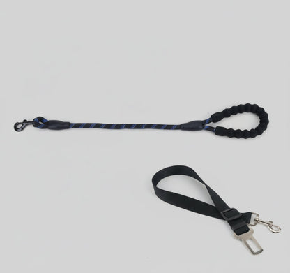 Laisse pour chien - Oreveil