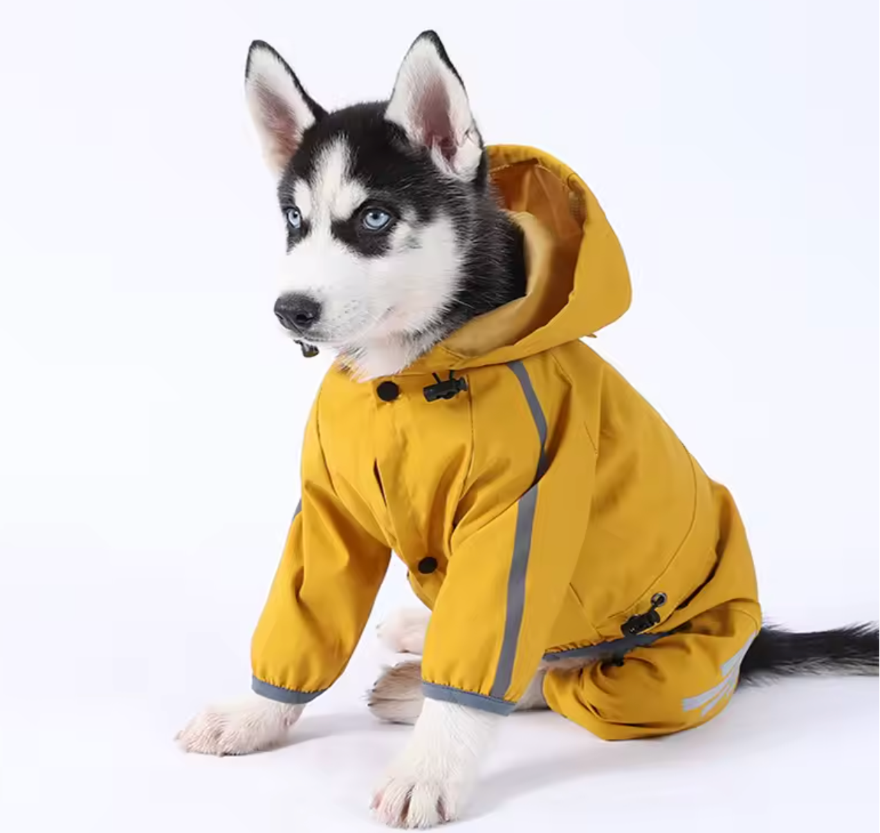 Imperméable pour chien - Luno