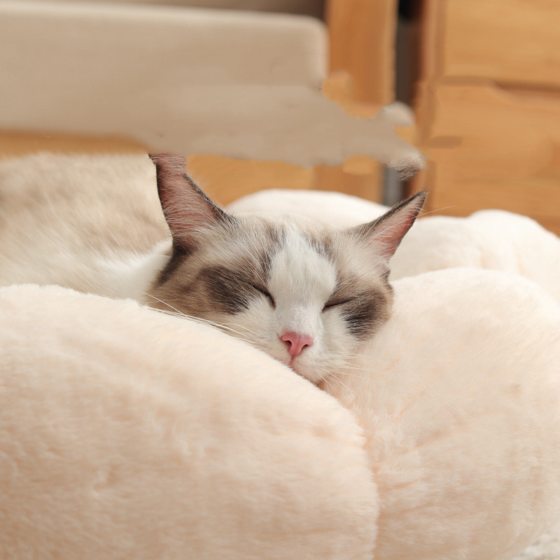 Chat installé confortablement dans le panier Bloomy