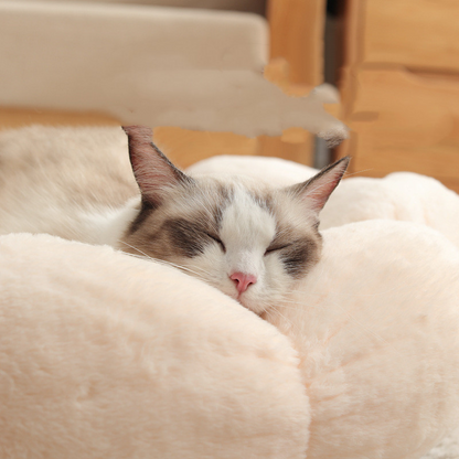 Chat installé confortablement dans le panier Bloomy