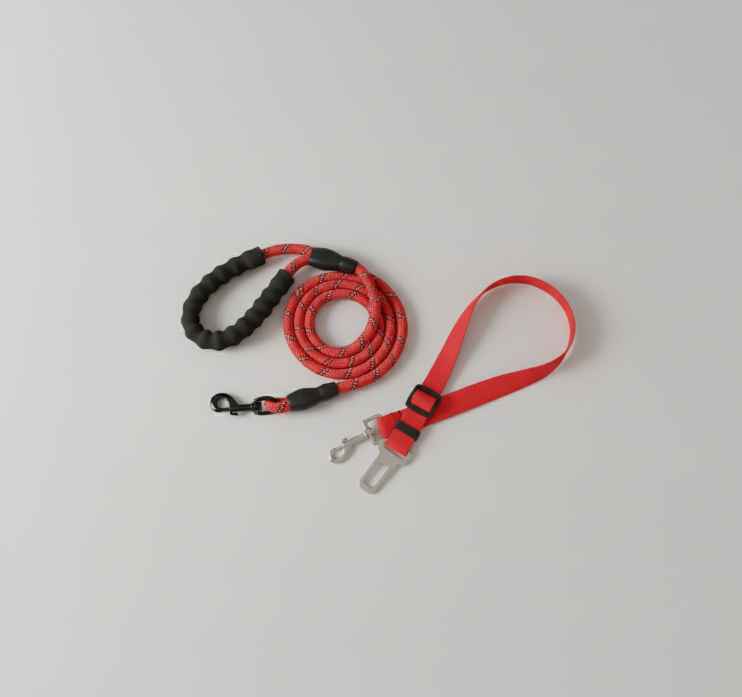 Laisse pour chien - Oreveil