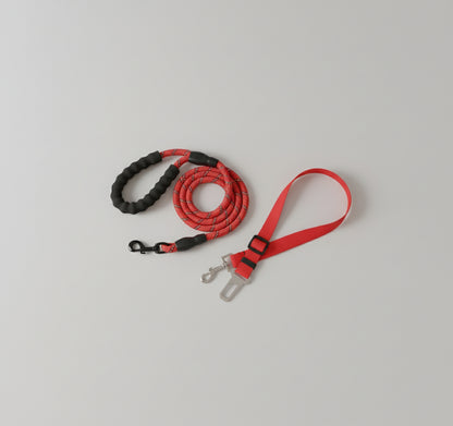 Laisse pour chien - Oreveil