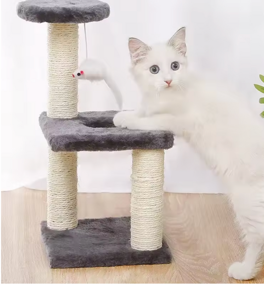 Chat en train de jouer sur l’arbre Altocat, structure interactive