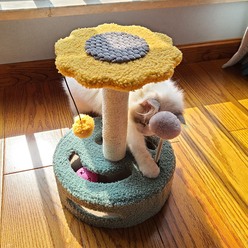 Structure d’escalade pour chats avec plateformes surélevées décorées