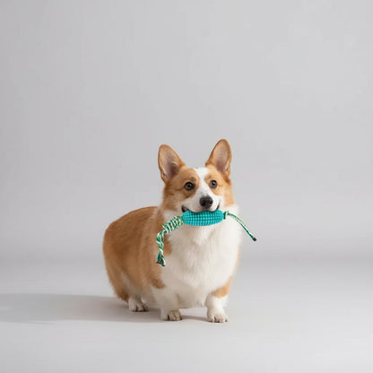 Jouet pour chien - Zivon
