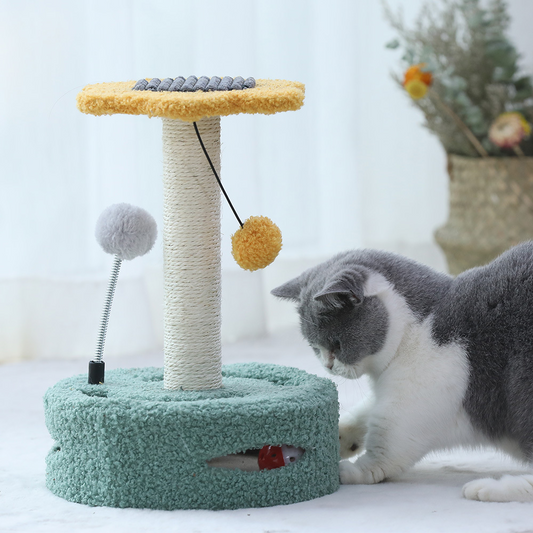 Chat perché sur un arbre à chat en forme de fleur, design original