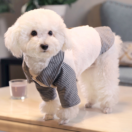 Chien portant le manteau Canelli, protection contre le froid avec style