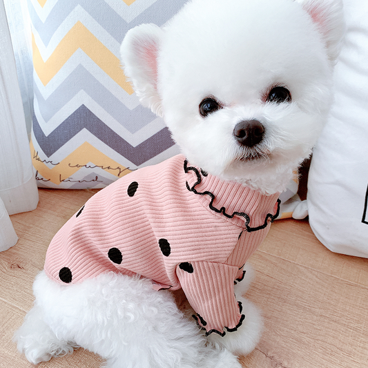 Chien portant le Pull Pearly, look chic et confort assuré