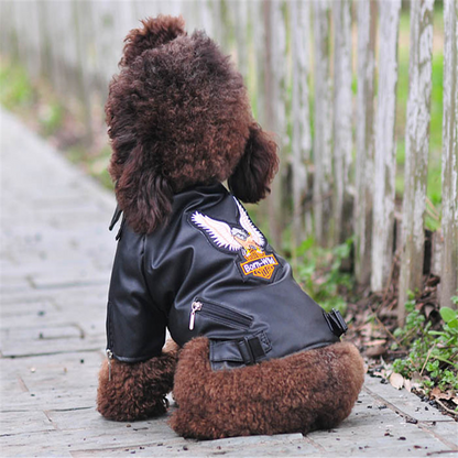 Veste motard pour chien, imitation cuir noir stylée
