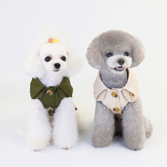 Veste Britannique pour chien, élégance et chaleur style anglais