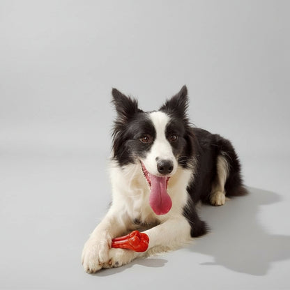 Jouet pour chien - Tivaro