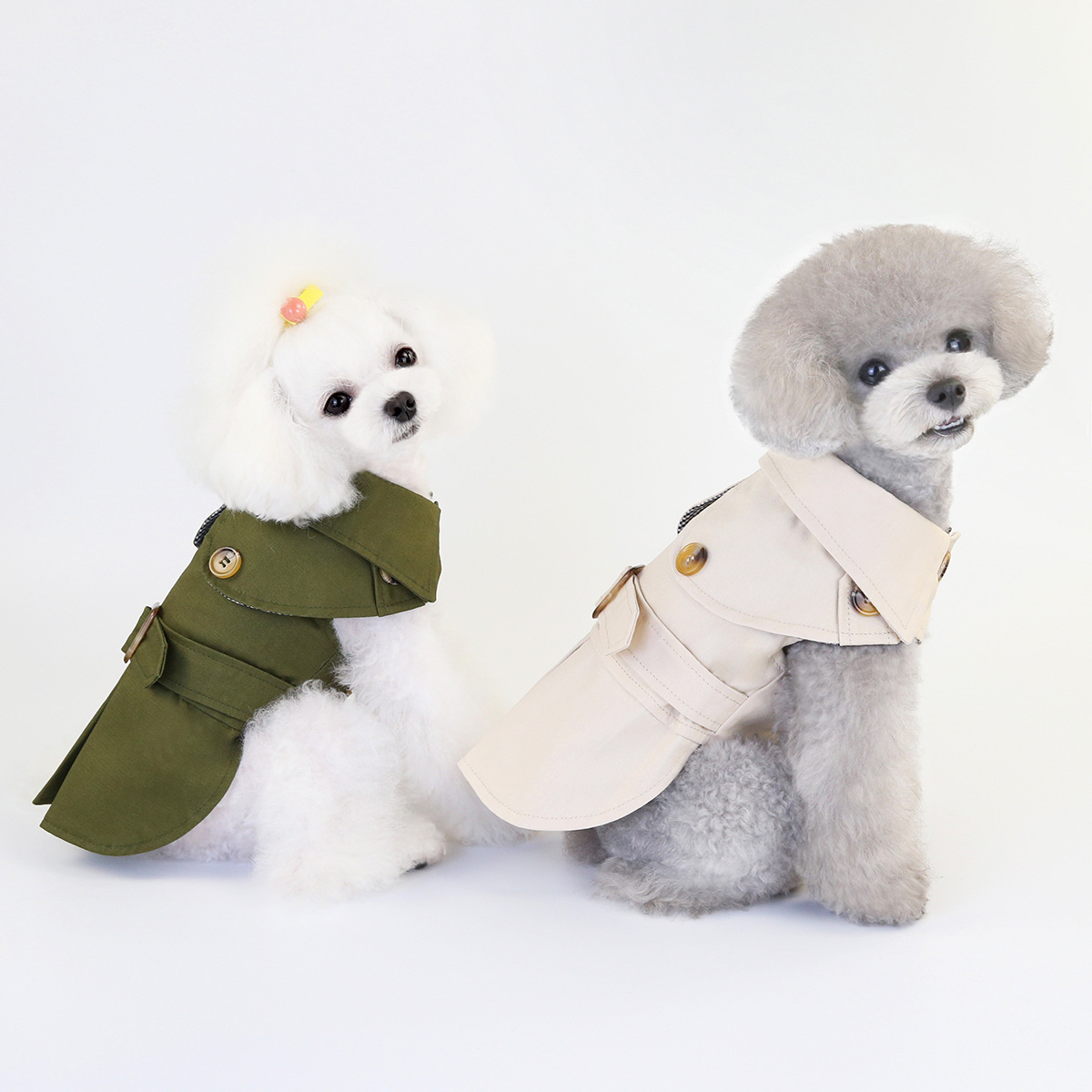Veste élégante pour chien avec boutons et col classique